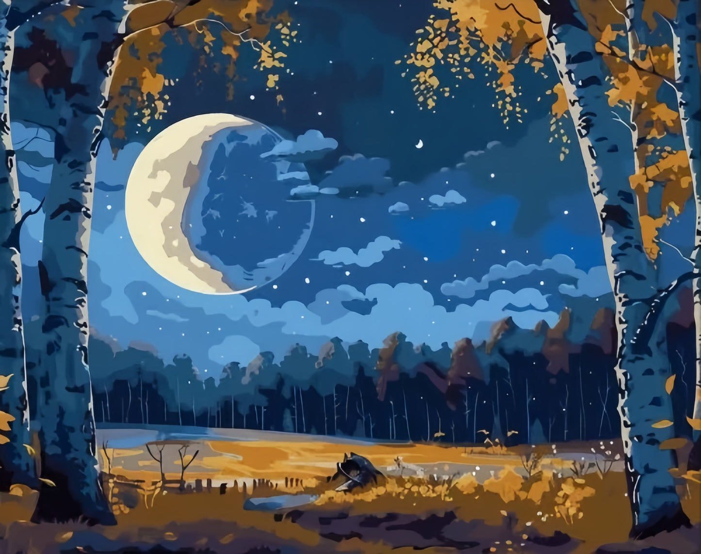Painting By Numbers Kit - Forest Night View