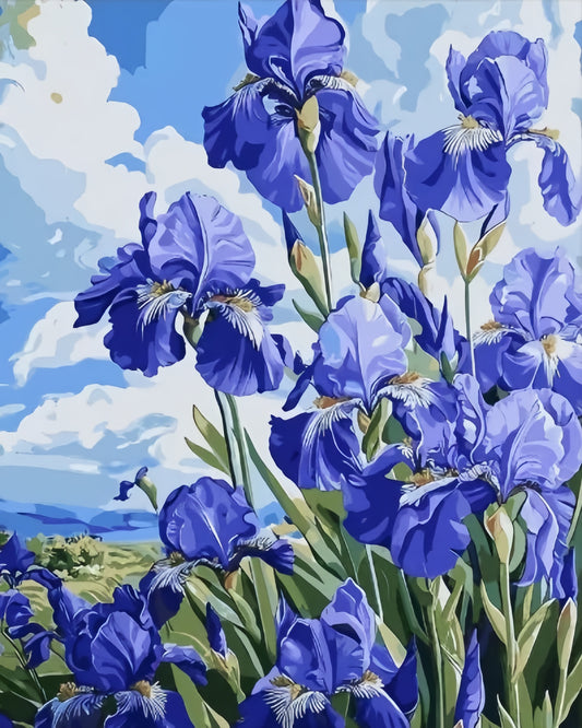 Painting By Numbers Kit - Flowers
