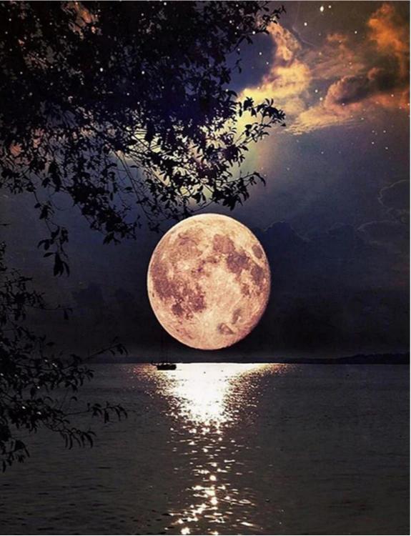 DIY Diamond Painting Kits - Night View