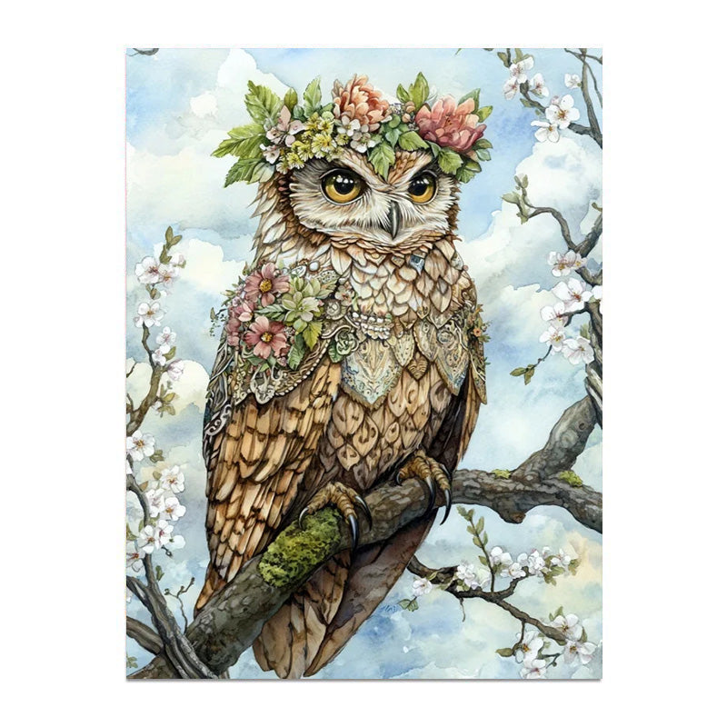 painting by numbers kit owl
